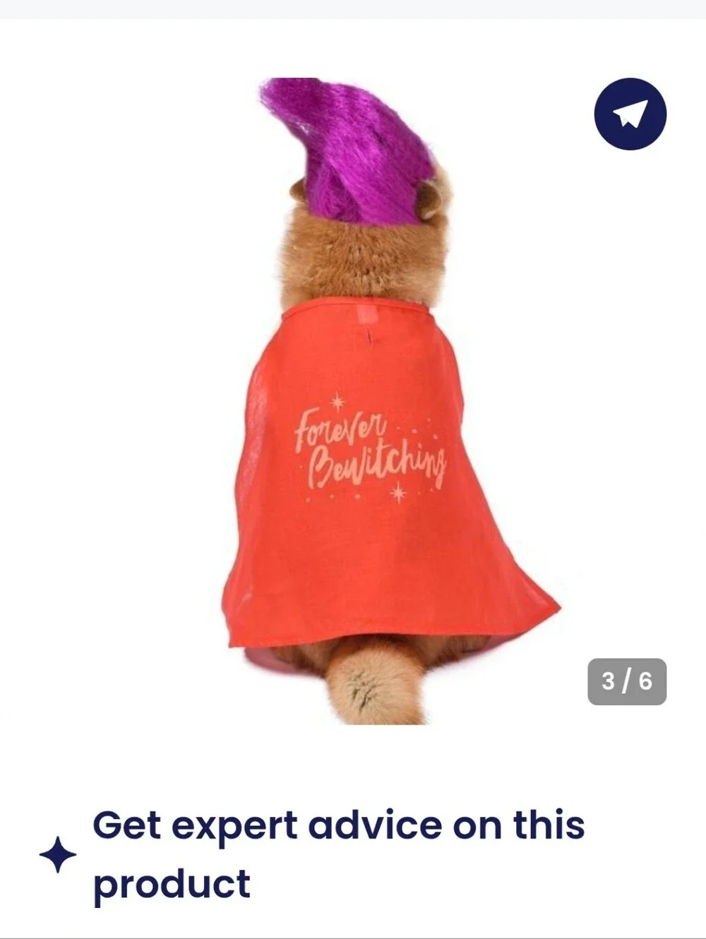 Disney Mary Sanderson Pet Costume - Red & Purple
